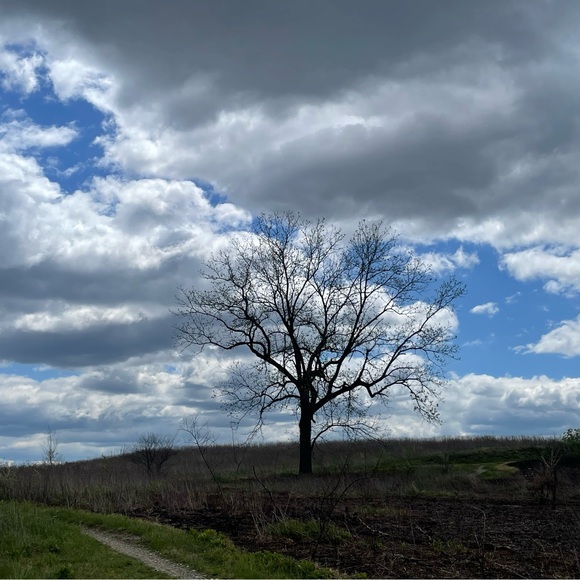 brightskies3